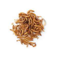 หนอนนกอบแห้งโปรตีนสูงสีเหลืองธรรมชาติ 100% และตัวอ่อนแมลงวันดำสำหรับไก่ อายุการเก็บรักษา 18 เดือน - Product Image 4