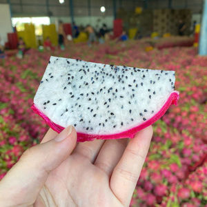 Fruta de dragón fresca y vietnamita ahora en India-Diplomacia de fruta de dragón - Product Image 1