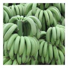 Bananes Plantain Cavendish Vertes Biologiques en Gros 20kg Prêtes à l'Exportation Chaîne du Froid - Product Image 5