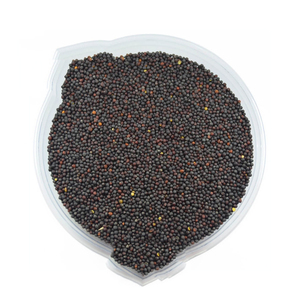 เรพซีดเสนอขายในราคาต่ำสำหรับผู้ซื้อส่งทั่วโลก - Product Image 3