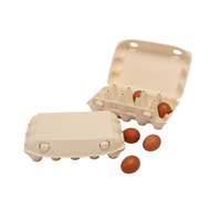 12 Oeufs de Poulet Carton Papier Dimensions Boîte Fabriquée par Pâte à Papier Biodégradable Prix Bon Marché Plateau à Oeufs Fabriqué au Viet Nam Fabricant