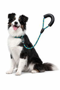 Laisse pour chien en nylon robuste à rayures, réglable, avec poignée rembourrée douce, fabricant OEM - Product Image 6