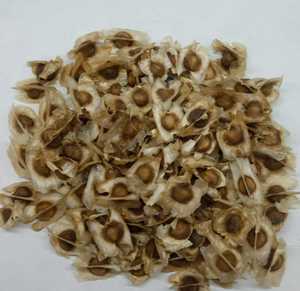 Graines de moringa de haute qualité-bio et Nin-Ogmo approvisionnement en vrac - Product Image 2