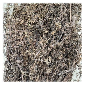 Rumput kering Jelly, kering Platostoma Palustre daun/kering rumput segar alami daun Jelly dengan kualitas tinggi