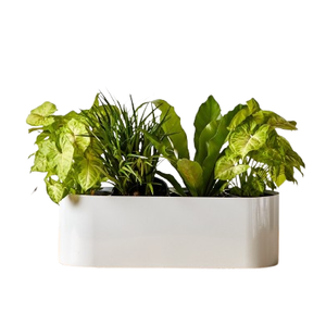 Venta al por mayor cilindro redondo de metal sobre mesa maceta decorativa y jarrón acabado brillante para plantas decoración de la boda venta - Product Image 3