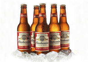 <span class=keywords><strong>Budweiser</strong></span> Bud bia 24x33 CL <span class=keywords><strong>Budweiser</strong></span> - Product Image 5