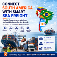Agente de Carga Profesional, Envío de España a Estados Unidos por Aire y Mar, Servicios de Transporte Puerta a Puerta, Incluye Respuesta en 24h