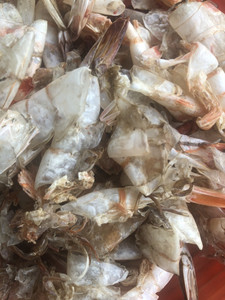 ผงเปลือกกุ้งตากแห้งสำหรับอาหารสัตว์จากเวียดนาม - Product Image 4