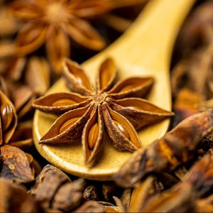 Anís Estrellado Seco Crudo Fresco de Primera Calidad de Vietnam - Product Image 1