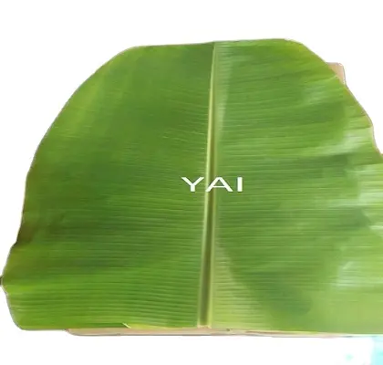 Natural Banana Meals Leaf Supplier/ManufacturerでTamilnadu