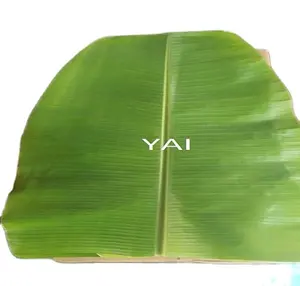 Natural Banana Meals Leaf Supplier / Manufacturer in Tamilnadu