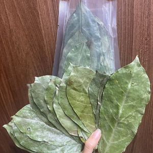 Guanábana deja una comida saludable precio barato de VIETNAM - Product Image 5