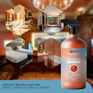 Hotel-Geruchsneutralisierer-Spray 1L – Standard für Gastgewerbebereiche: Gegen Schweiß-, Tabak- und Pfeifengerüche - Fertigprodukt - Product Image 3