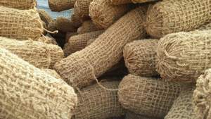 Top fournisseur vietnamien fabrication de grumes de noix de coco avec le meilleur prix haut standard d'exportation - Product Image 4