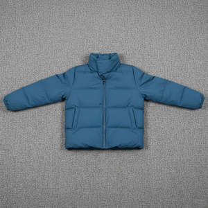 Blousons d'hiver pour femmes de haute qualité 2026, chauds et épais, tissu respirant, rembourrage en coton, col montant, fermeture éclair, blousons à bulles - Product Image 1