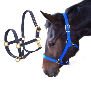 Haute qualité Style anglais cheval licou excellente selle occidentale PP cuir Nylon PVC corde équipement d'équitation équestre - Product Image 2