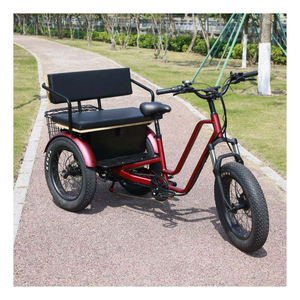 Triciclo de Pasajeros de Bajo Precio con Motor Eléctrico de Alta Potencia, Preparado para Compra al por Mayor con Envío Confiable - Product Image 4