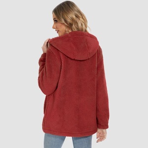 Vente en gros OEM Logo personnalisé Sweats à capuche à manches longues pour femmes Custom Fashion Wear Sweats à capuche pour femmes à vendre - Product Image 2