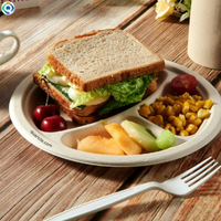 Assiette jetable biodégradable en bagasse de 9-10 pouces, 3 compartiments, haute qualité, pour service alimentaire, avec logo personnalisé, vente en gros