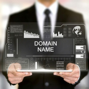 Service de hébergement et de protection de domaines sécurisés pour plateformes de solutions de serveurs de sites Web professionnels et gestion de l'accessibilité des sites Web - Product Image 5
