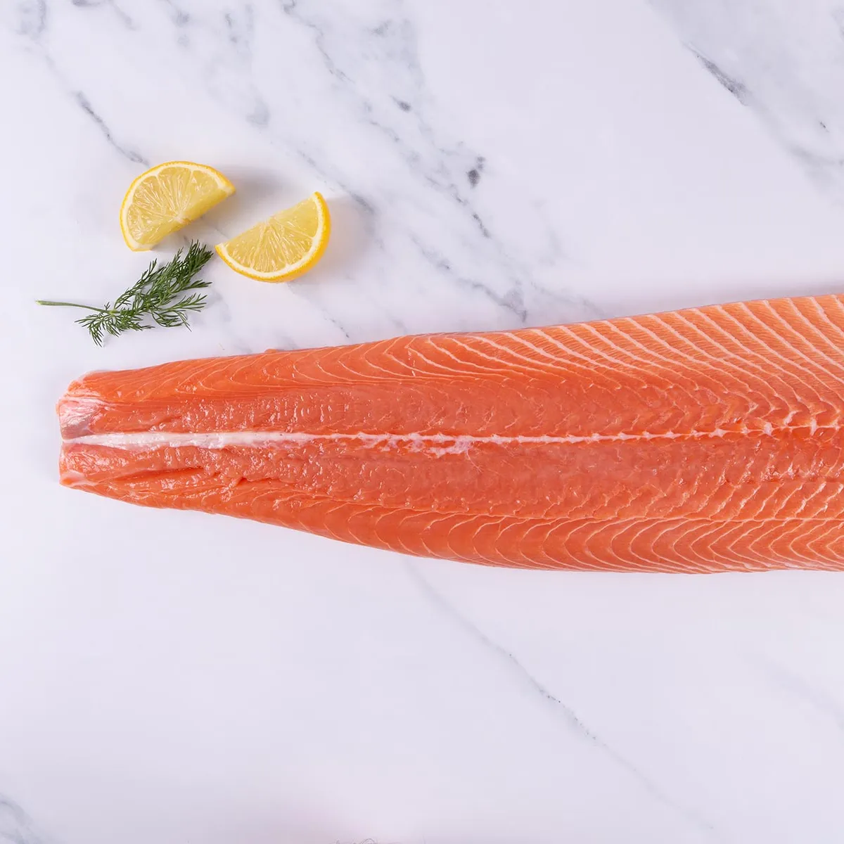 whole frozen salmon fish for best seafood cooking