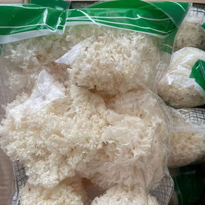 Hongo Tremella Blanco de Alta Calidad, Natural de Vietnam - Product Image 1