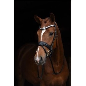 Brida de caballo de alta calidad a bajo precio, venta al por mayor, brida de caballo de cuero indio Real resistente negra a la venta - Product Image 3