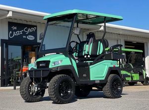 Carrito de Golf Eléctrico Económico, Buggy de 2-6 Plazas, Plegable, Entrega Rápida, Batería de 36V, Motor de CA de 5KW, Autonomía de 50-70km, Certificado EEC/DOT - Product Image 4