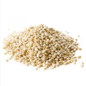 2024 nuovo raccolto di grano tre semi di Quinoa di proteine di colore precotto piccolo pacchetto di quinoa