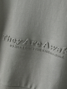 Sudadera con capucha personalizada de alta calidad con cuello redondo para hombre, ropa de calle de invierno de ajuste Regular, eslogan en relieve, teñido liso - Product Image 3