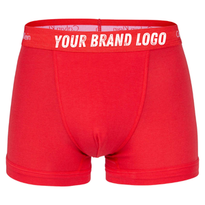 Direct Factory Supply Men's <b>Custom</b> Logo <b>Boxer</b> Briefs ODM Wholesale Buyers Colorful Moisture-Wicking Breathable Low MOQ - Product Image 2