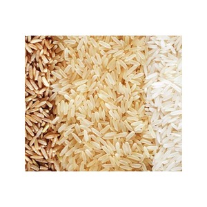 Calidad Premium Pusa Basmati Golden Sella Rice Textura dura Estilo seco para hoteles Restaurantes Servicios de catering - Product Image 3
