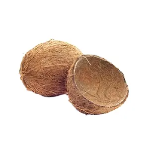 indonesia coconut shell