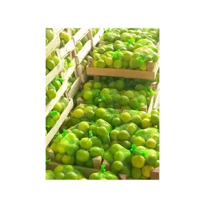 Exportador de cítricos frescos de primera calidad, color verde y amarillo, Lima fresca natural a precio de mercado razonable