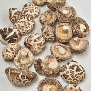 Hongos Shiitake Secos de Marca Privada para Minoristas y Propietarios de Marcas de Vietnam - Product Image 1