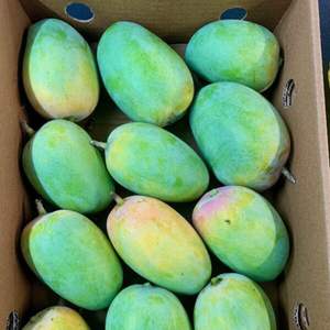 มะม่วงแท้ธรรมชาติ เกรด AA 100% สดใหม่ ซื้อจำนวนมาก คุณภาพเยี่ยม - Product Image 2