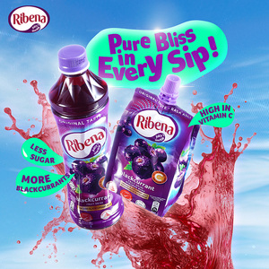 Boisson à la mode riche en vitamine C Ribena jus de cassis bouteille pour animaux de compagnie 450ml - Product Image 5