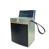 Boombest LN1036BT Solar-Lautsprecher Soundbar Leistungsstarker Bass Outdoor Wiederaufladbarer Lautsprecher Kabelloses Audio Notfall-Großhandel