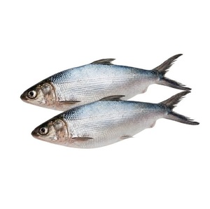 Poisson laitier congelé – Fruits de mer congelés pour la vente au détail et la distribution - Product Image 2