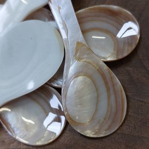 Tendencia Precio al por mayor Cuchara de café de nácar de lujo Artesanías de conchas y conchas marinas de alta calidad - Product Image 3
