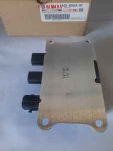 Conjunto de inyector y controlador de piezas de automóvil 6GR-8591B-00 para OBM de 4 tiempos - Product Image 2