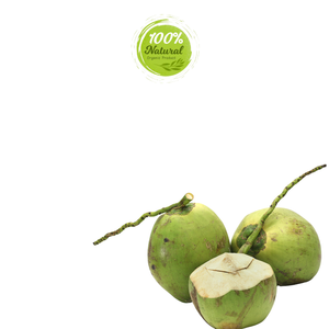 มะพร้าวสดเวียดนาม-สาระสำคัญของการดื่มบริสุทธิ์ - Product Image 3