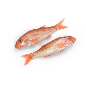 Mullet rouge congelé de haute qualité (produits de la mer) disponible à la vente à bas prix - Product Image 2