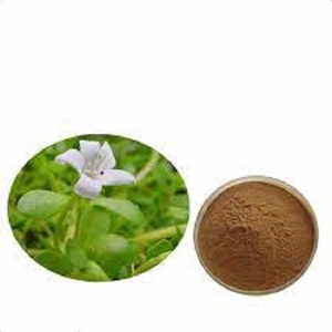 ผงสกัด Bacopa monnieri 10% สารสกัดจาก50% 20% จาก manufacurter ISO - Product Image 2