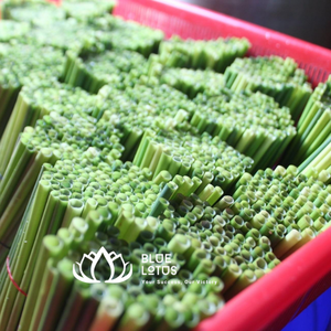 หลอดหญ้าสีเขียวจากเวียดนามหลอดดูดน้ำไม้ไผ่โลโก้กำหนดเองได้84 961 066080 MS Heidi - Product Image 2