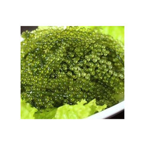 บรรจุภัณฑ์ฉลากส่วนตัวจากผู้จัดจําหน่ายองุ่นทะเล 99GD / องุ่นทะเลจํานวนมาก - Product Image 1