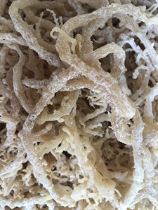 Mousse de mer irlandaise violette séchée Eucheuma Cottonii séchée naturellement Divers emballés, Offres Spéciales mousse de mer d'or séchée de 99 GD - Product Image 3