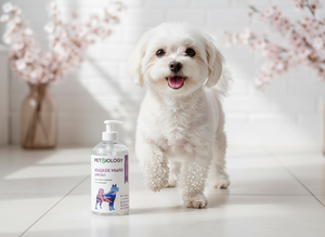 PETBIOLOGY Jabón Líquido Suave para Patas de Perros y Cachorros (3+ Meses) 300ml Plástico Baño Frutas y Verduras - Product Image 2