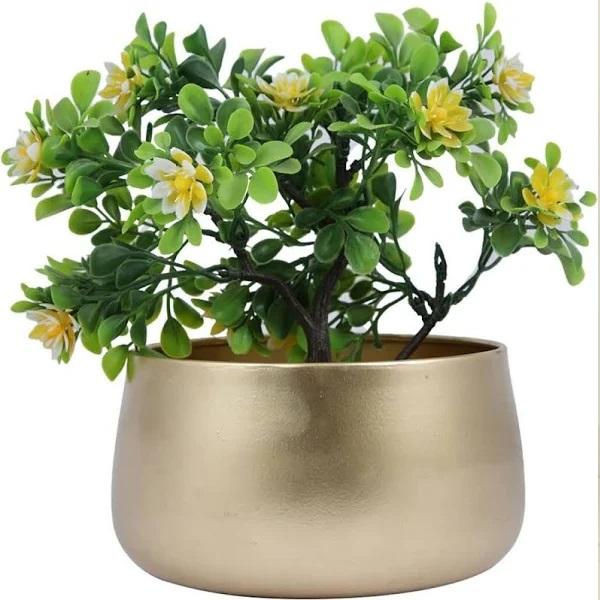 กำหนดเอง