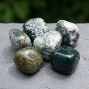 Pierre roulée d'agate mousse naturelle, pierre précieuse verte polie, cristal de guérison, méditation, cadeau spirituel, collection en gros - Product Image 3